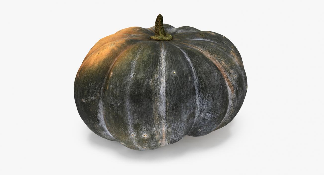 3D Green Pumpkin model