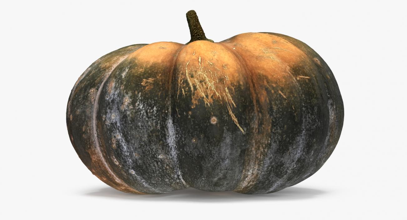 3D Green Pumpkin model