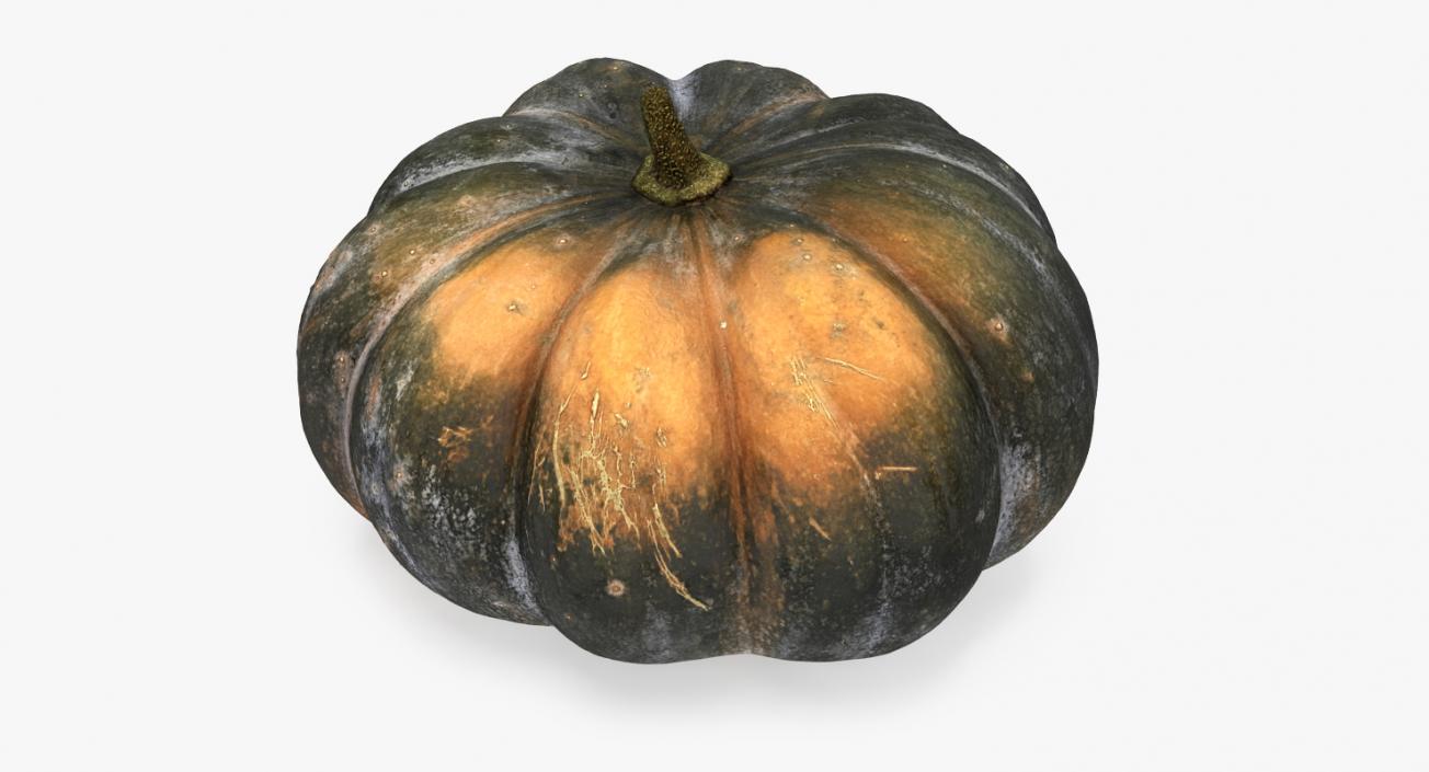 3D Green Pumpkin model