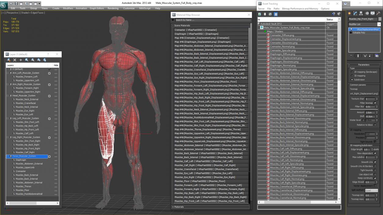 3D model Male Muscular System Full Body