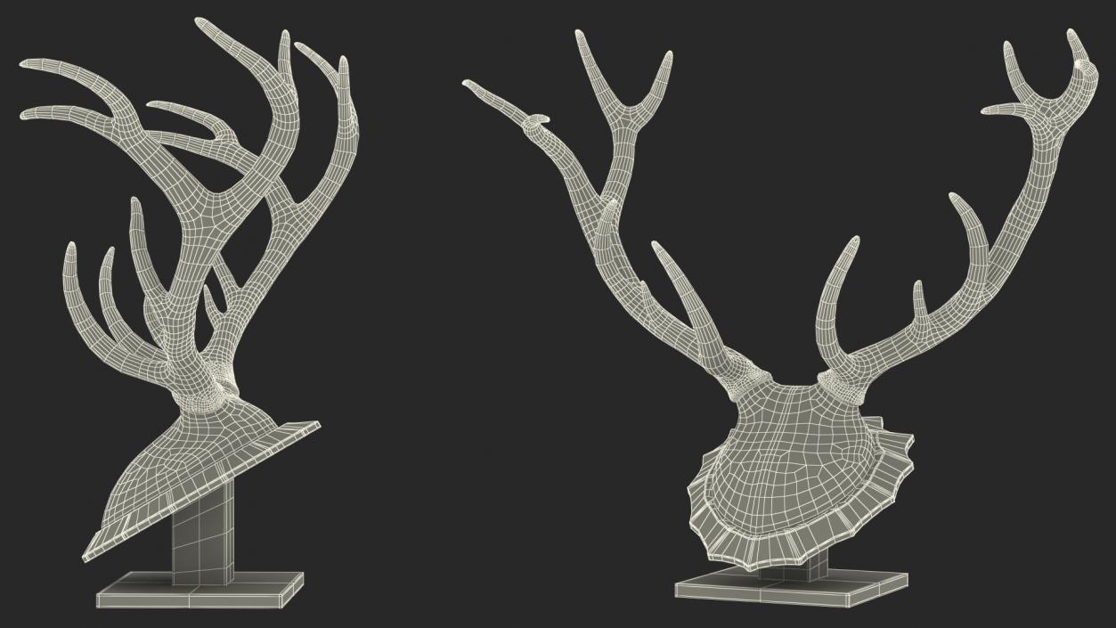 3D model Red Deer Stag Antlers on a Pedestal