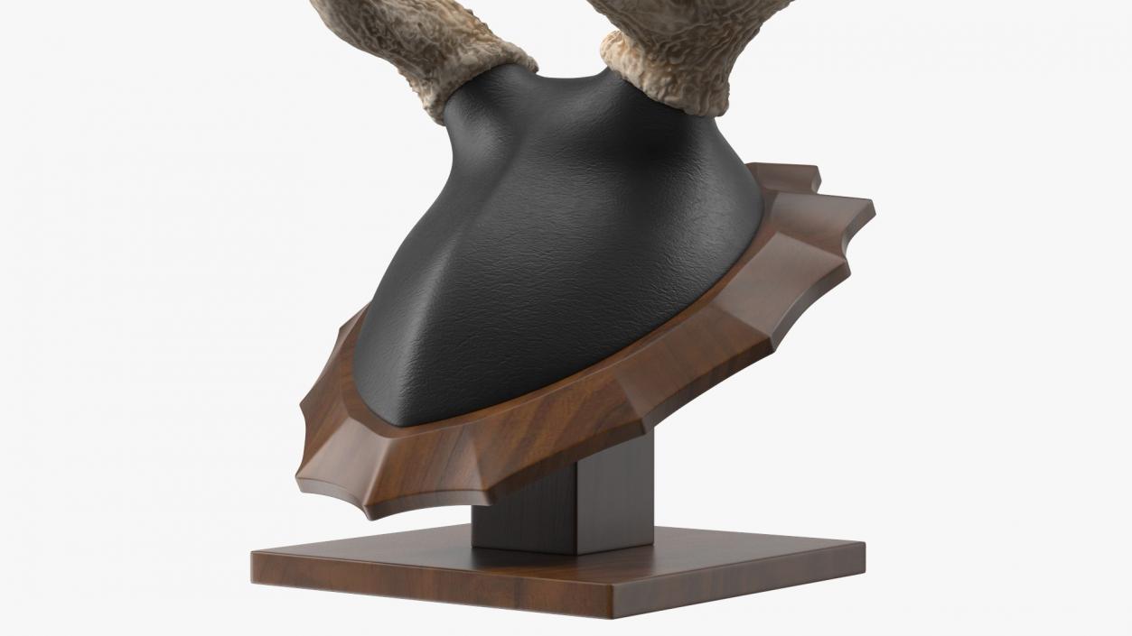 3D model Red Deer Stag Antlers on a Pedestal