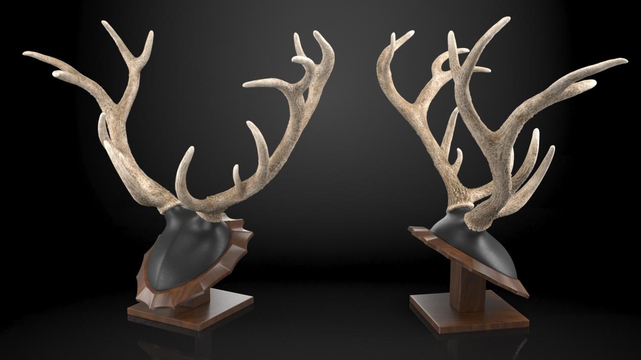 3D model Red Deer Stag Antlers on a Pedestal