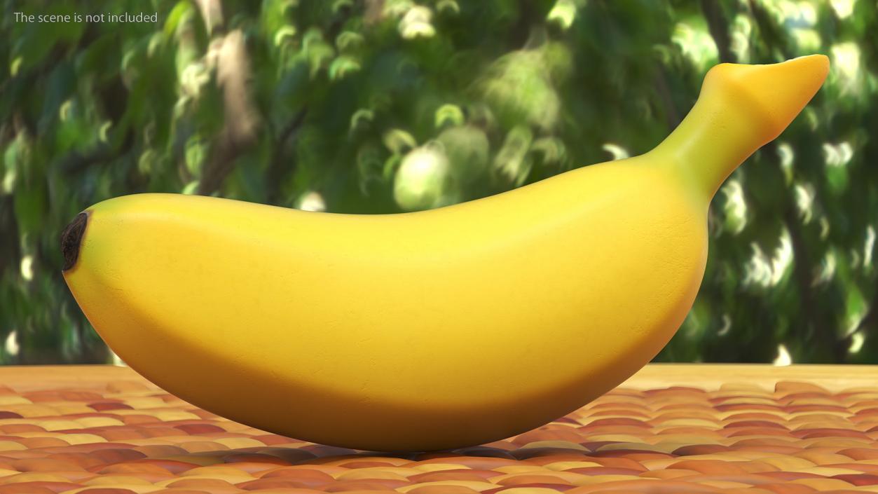 3D Yellow Baby Banana model