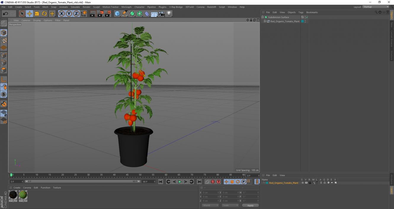 Red Organic Tomato Plant 3D model