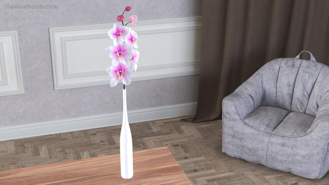 Tall Vase with Small Orchid Stem 3D