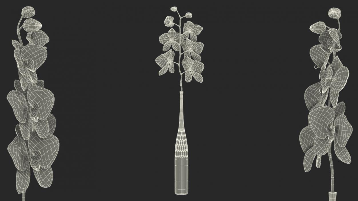 Tall Vase with Small Orchid Stem 3D