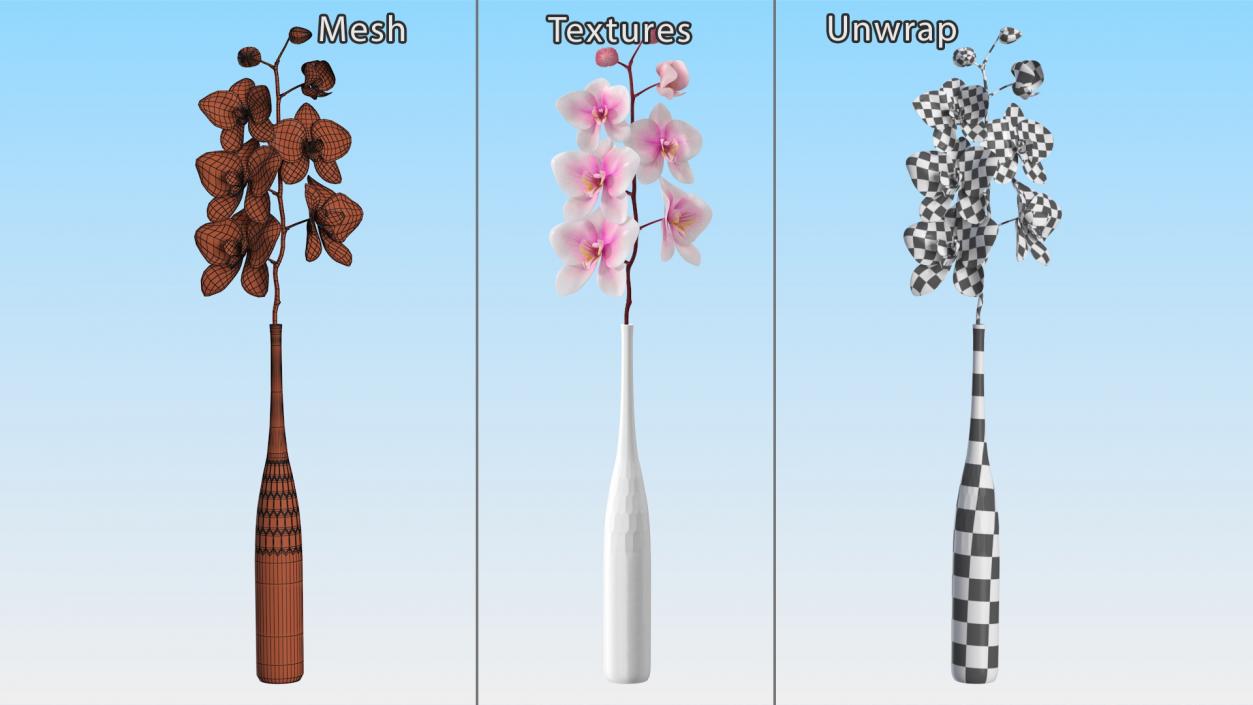 Tall Vase with Small Orchid Stem 3D