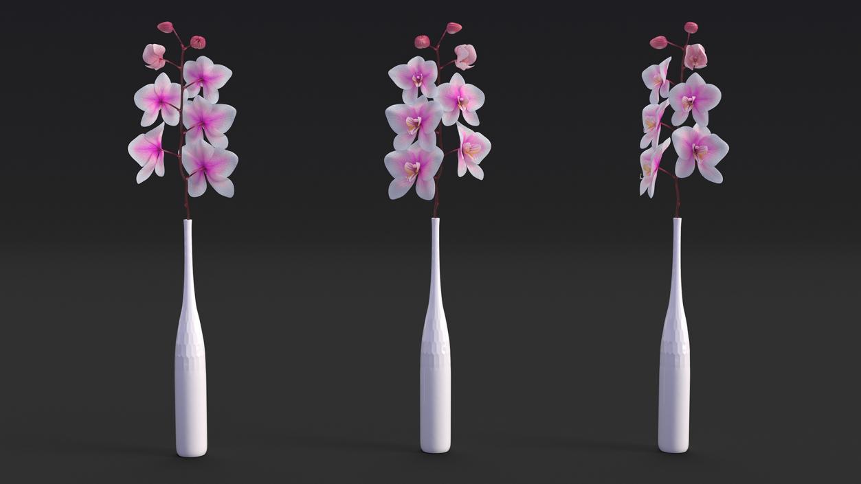 Tall Vase with Small Orchid Stem 3D