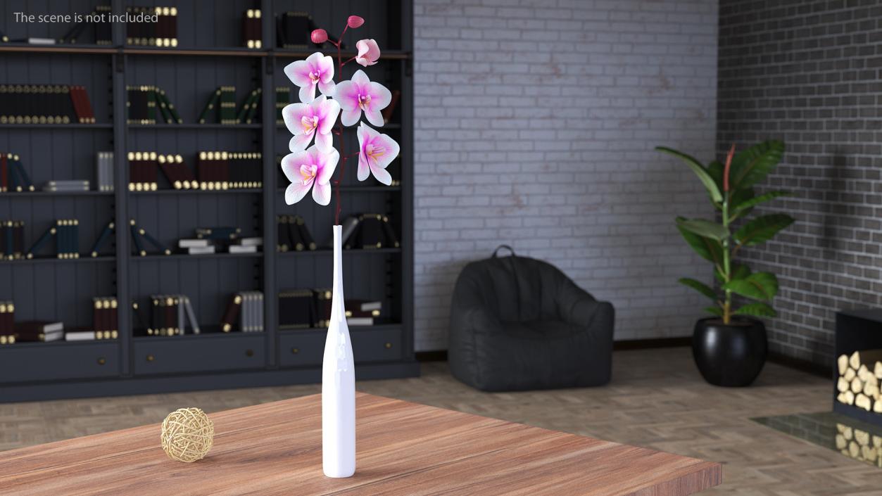 Tall Vase with Small Orchid Stem 3D