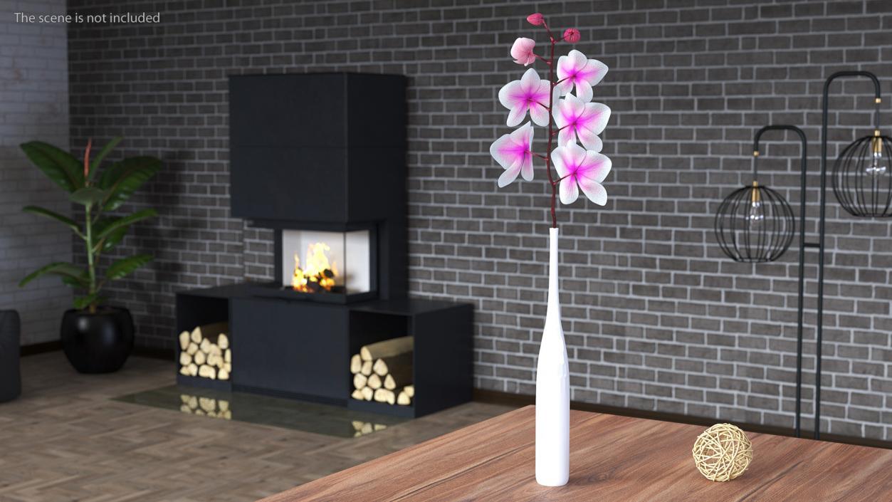 Tall Vase with Small Orchid Stem 3D