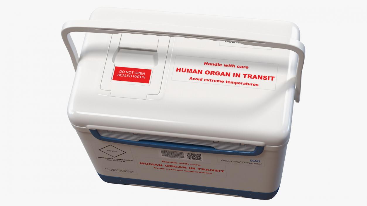 Human Organ Transplant Cooler 3D model