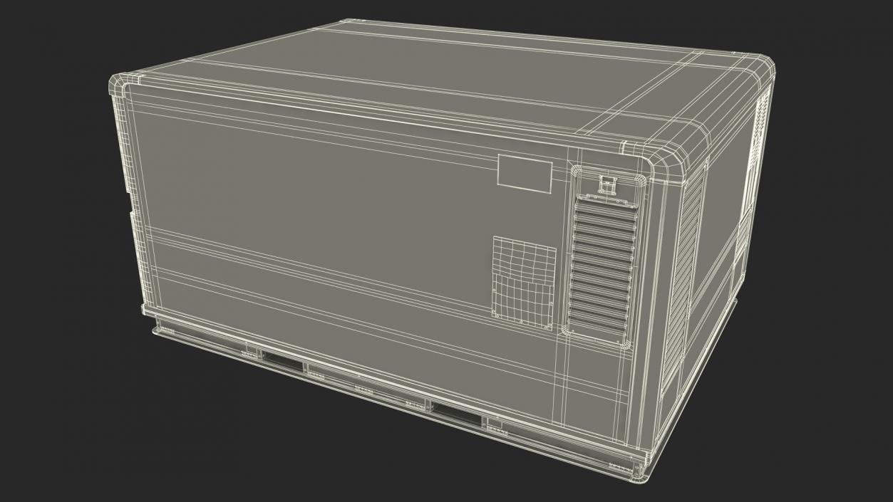 Air Cargo Container 3D model