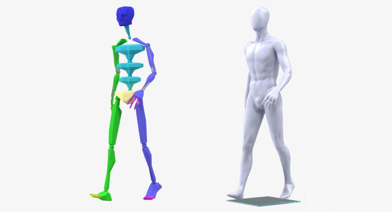 3D Male Mannequin Rigged