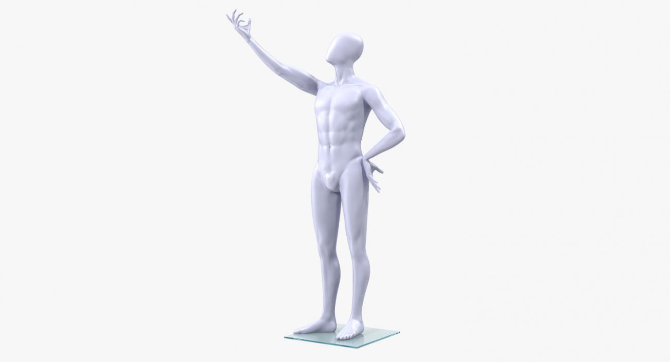 3D Male Mannequin Rigged