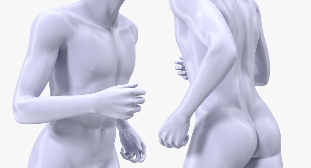 3D Male Mannequin Rigged