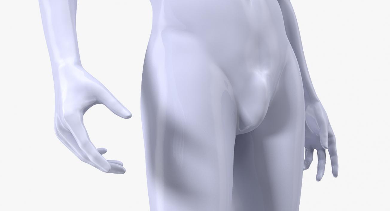 3D Male Mannequin Rigged