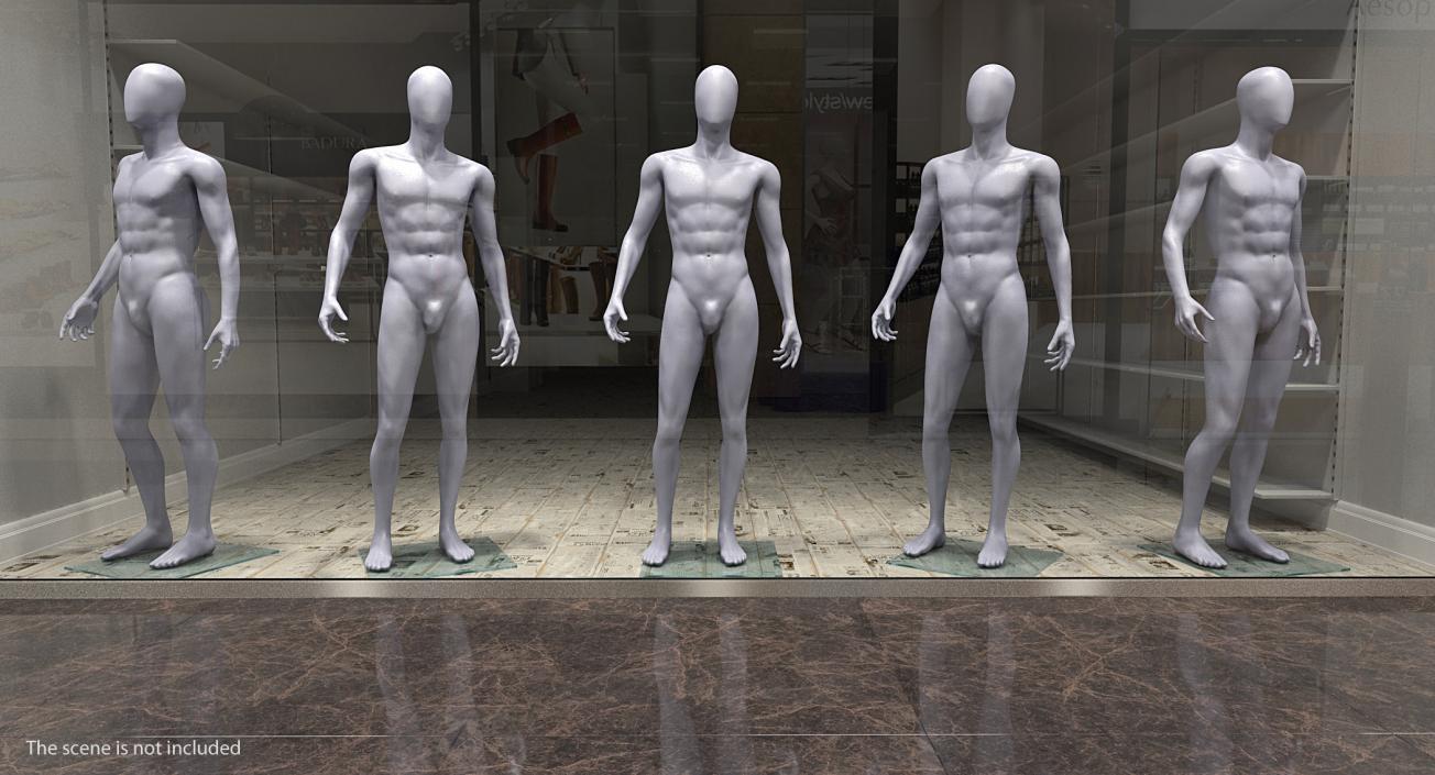 3D Male Mannequin Rigged