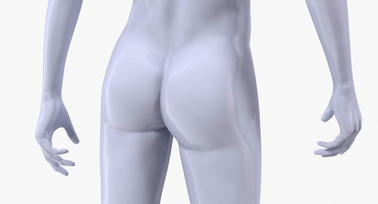 3D Male Mannequin Rigged