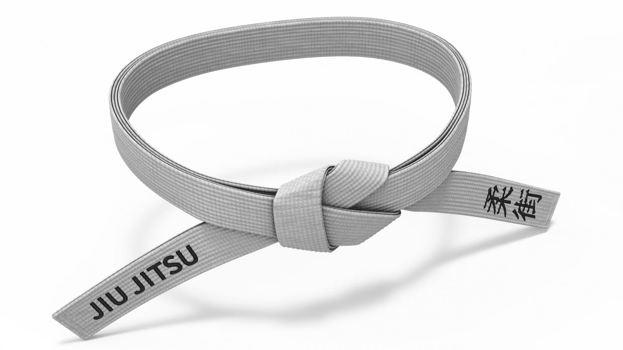 3D model Waist Jiu Jitsu White Belt Obi