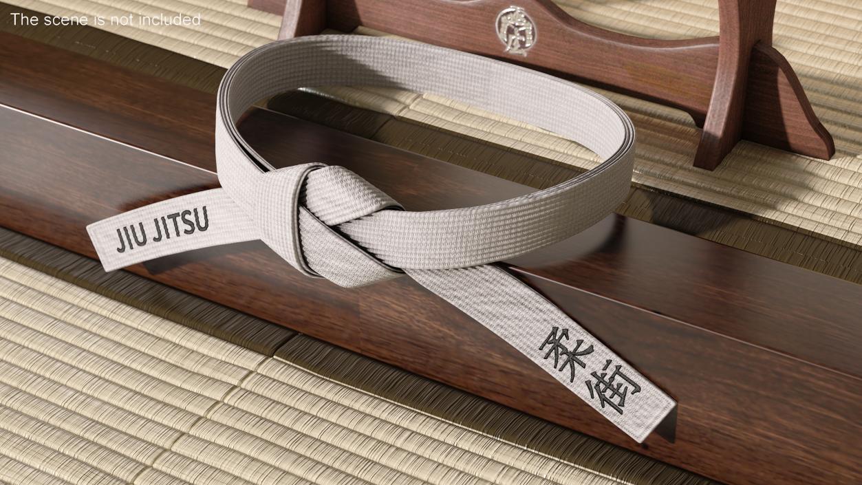 3D model Waist Jiu Jitsu White Belt Obi