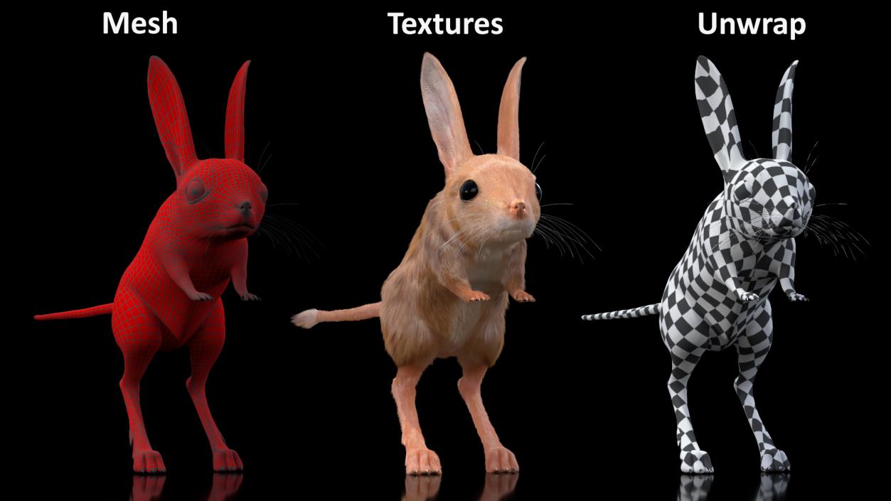 3D Long Eared Jerboa Fur