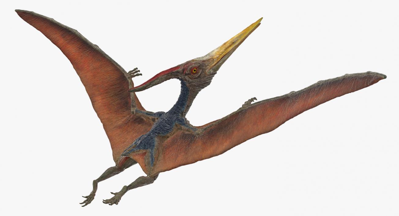 Pteranodon Flying Pose 3D