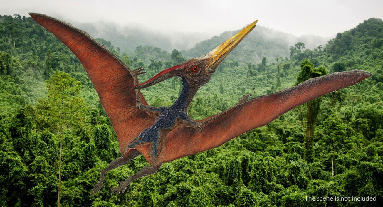 Pteranodon Flying Pose 3D