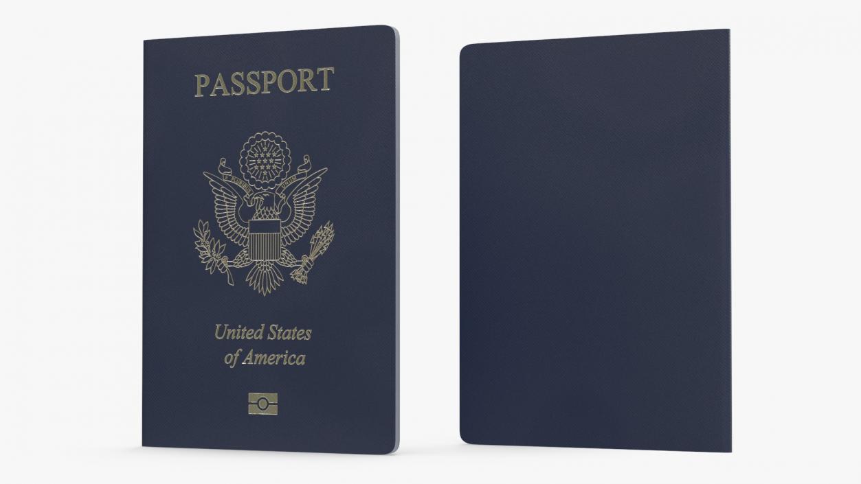 Passport of USA 2 3D