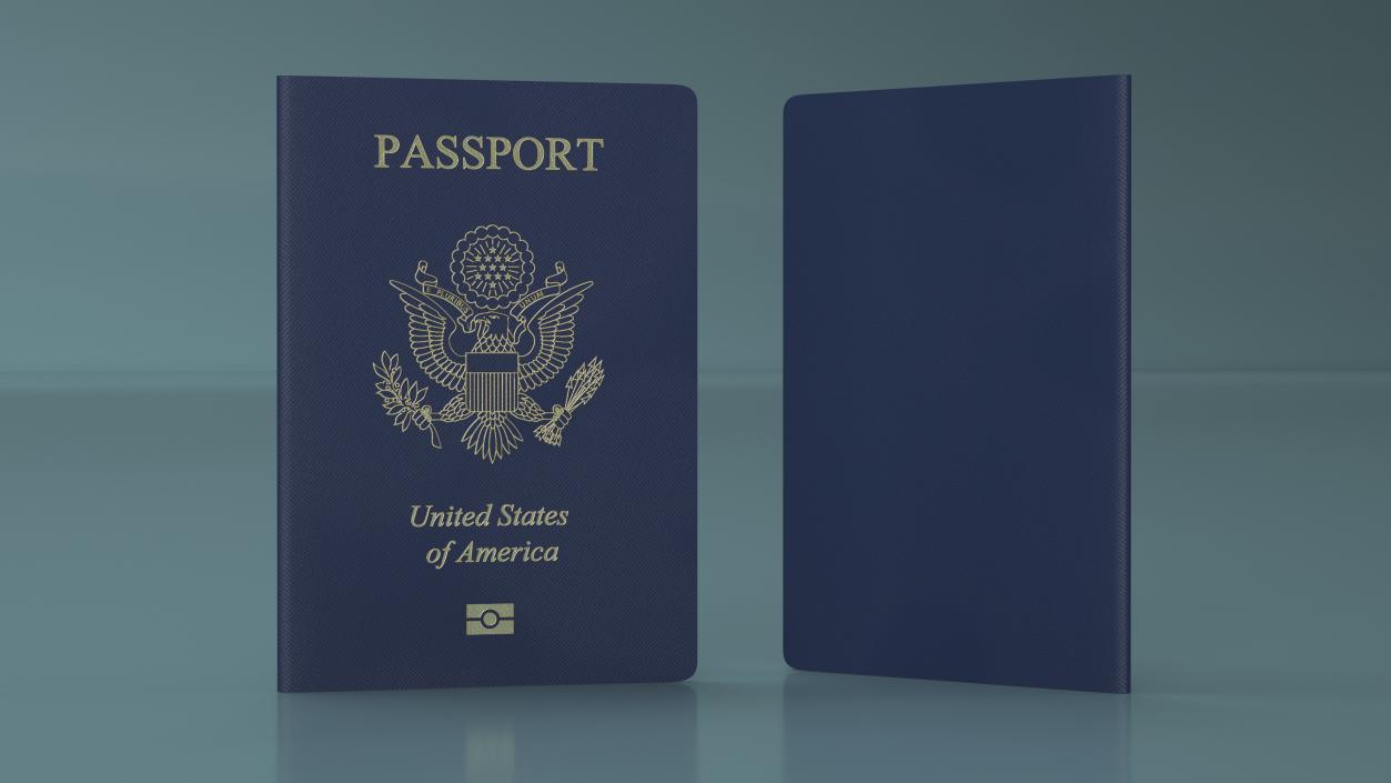 Passport of USA 2 3D