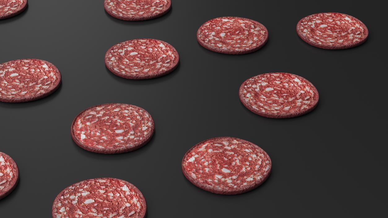 Slice Uncooked Smoked Sausage 3D model