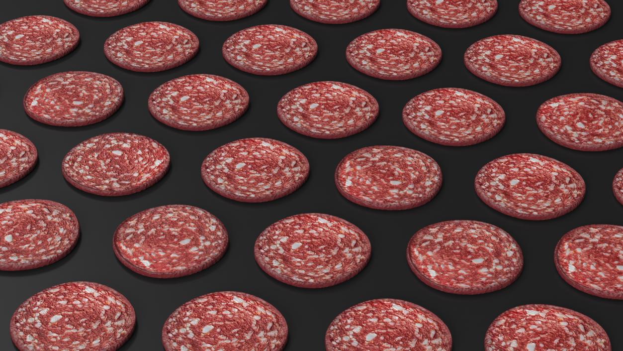 Slice Uncooked Smoked Sausage 3D model