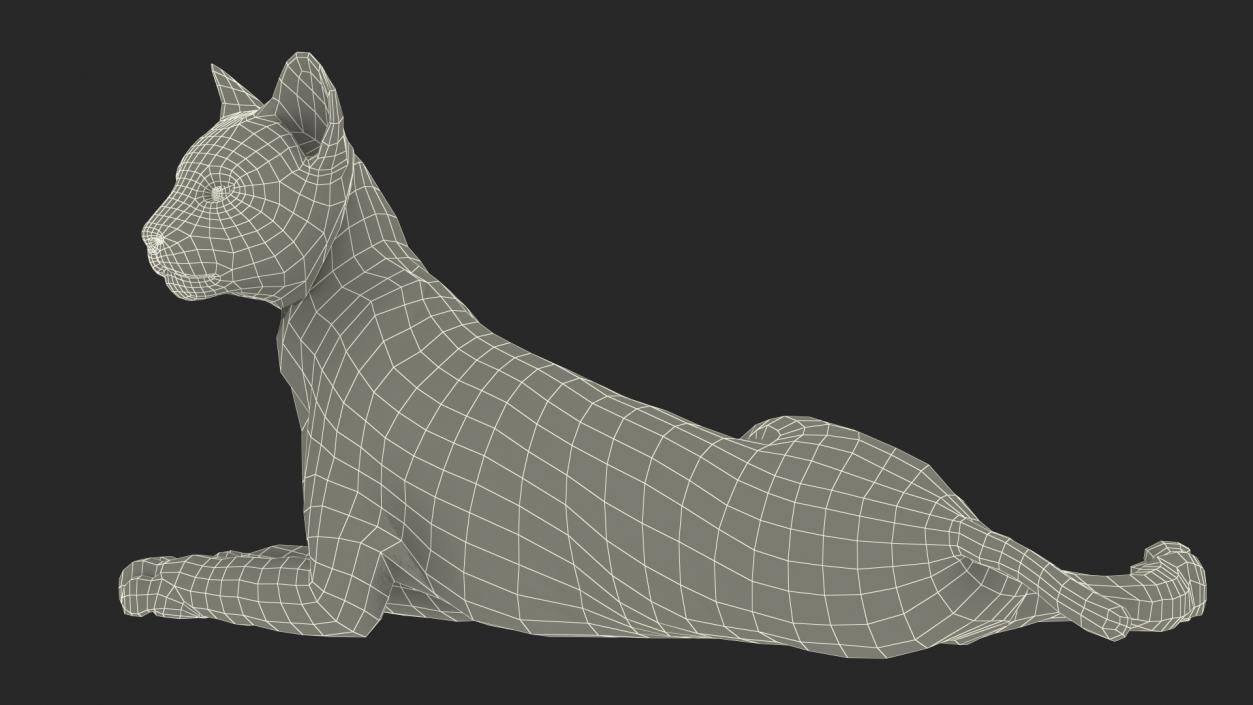 3D Red Lynx Lying Fur model