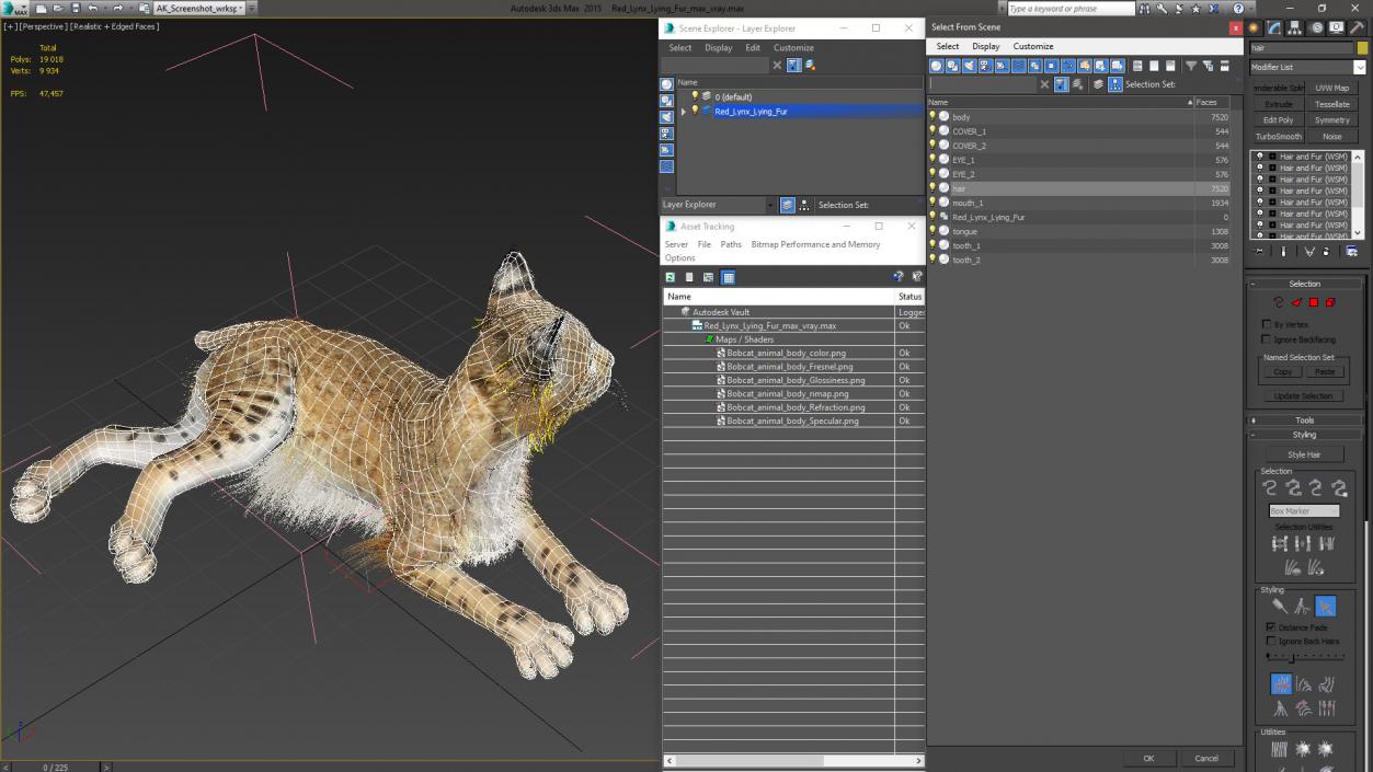 3D Red Lynx Lying Fur model