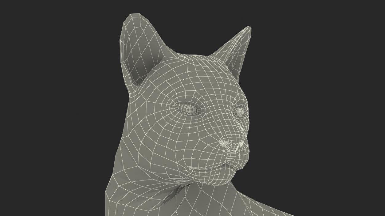 3D Red Lynx Lying Fur model