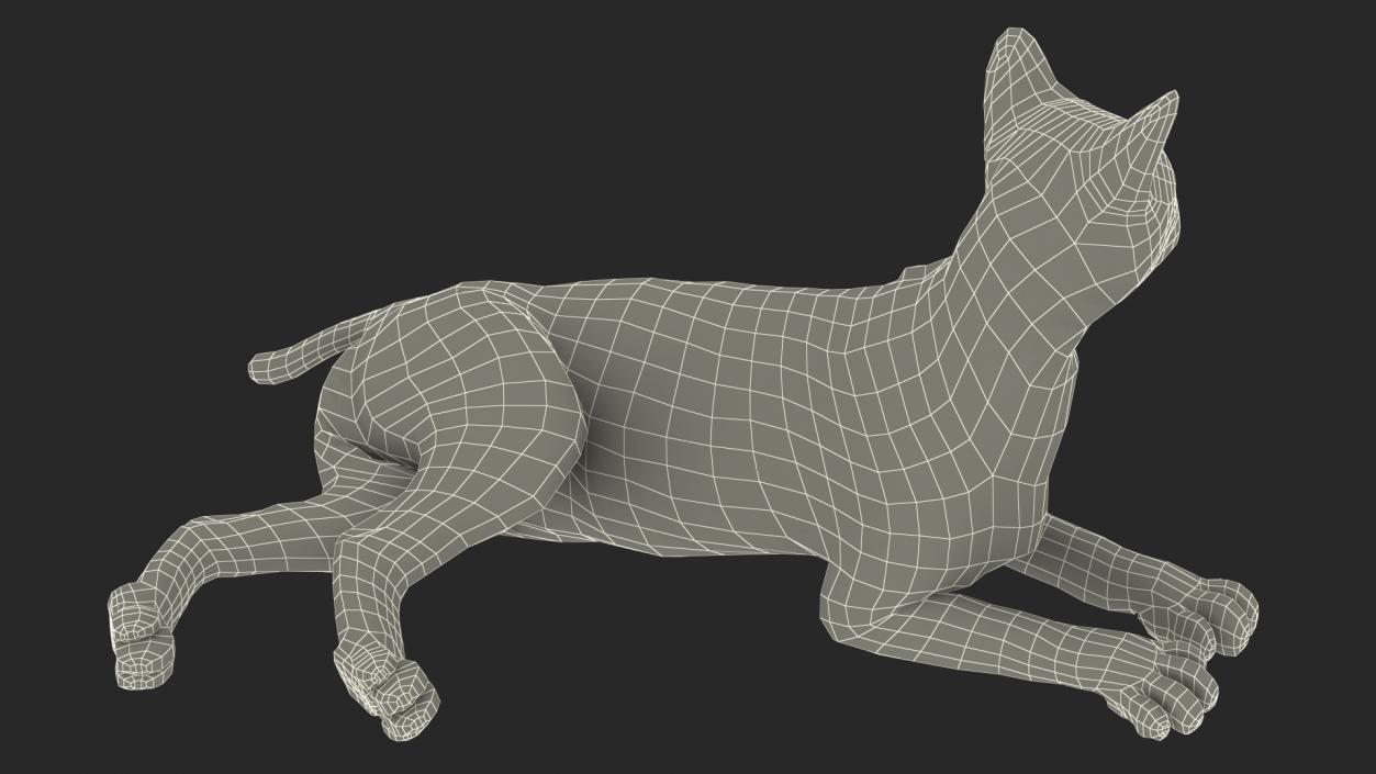 3D Red Lynx Lying Fur model