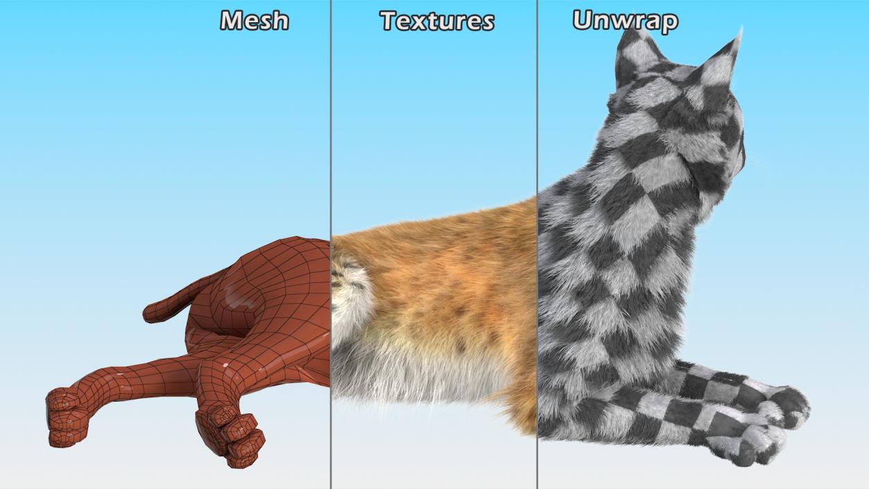 3D Red Lynx Lying Fur model