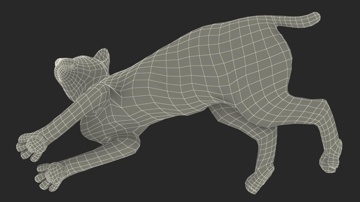 3D Red Lynx Lying Fur model