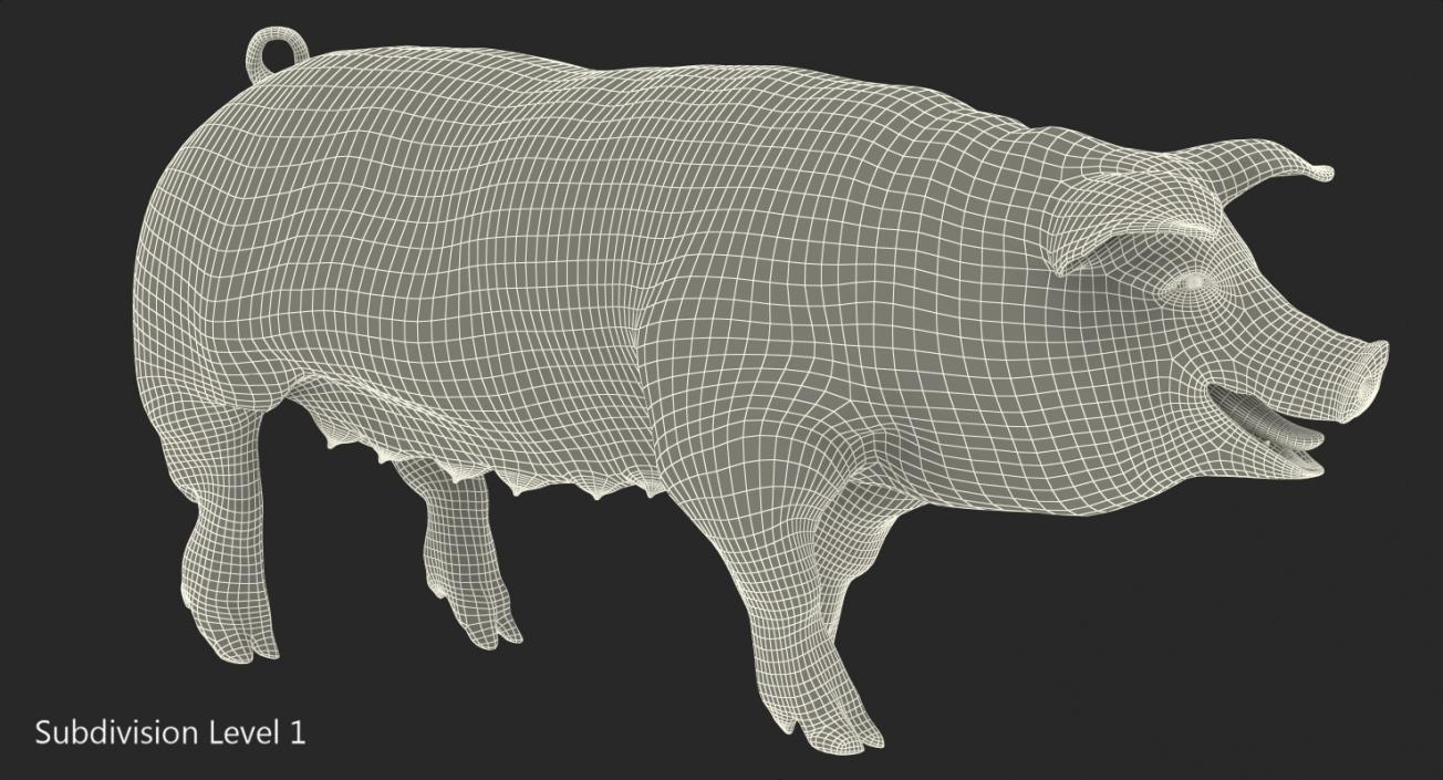 3D Pig Sow Peitrain Walking Pose with Fur model