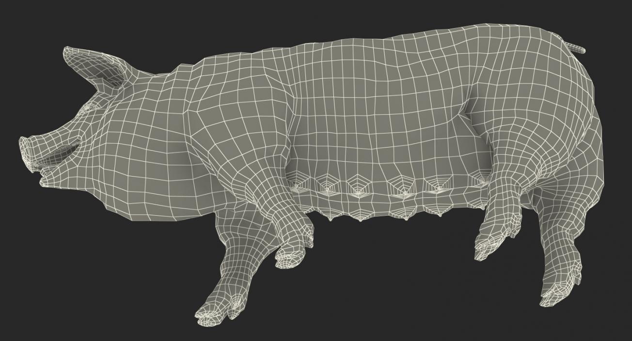 3D Pig Sow Peitrain Walking Pose with Fur model