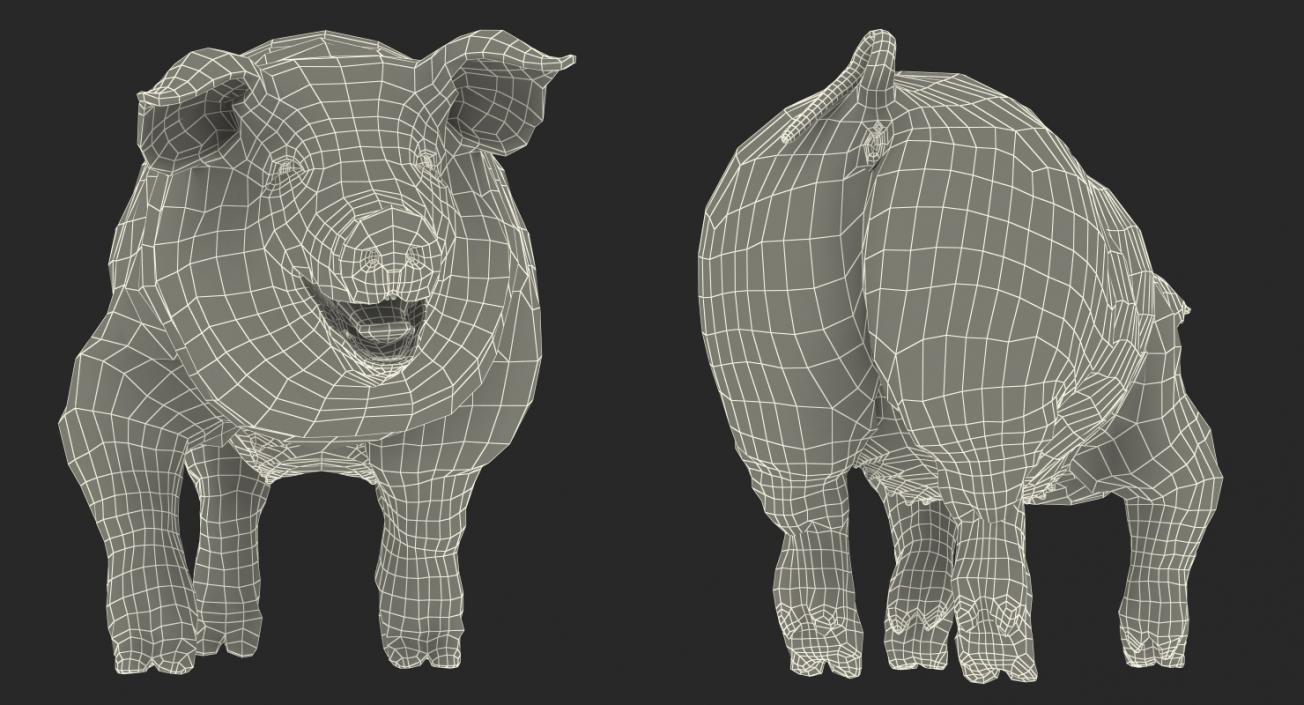 3D Pig Sow Peitrain Walking Pose with Fur model