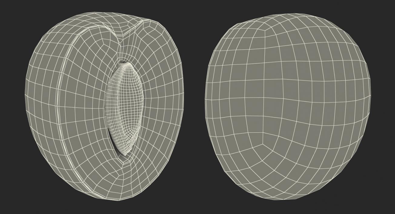 3D Cross Section Fruits 3D Models Collection 5 model