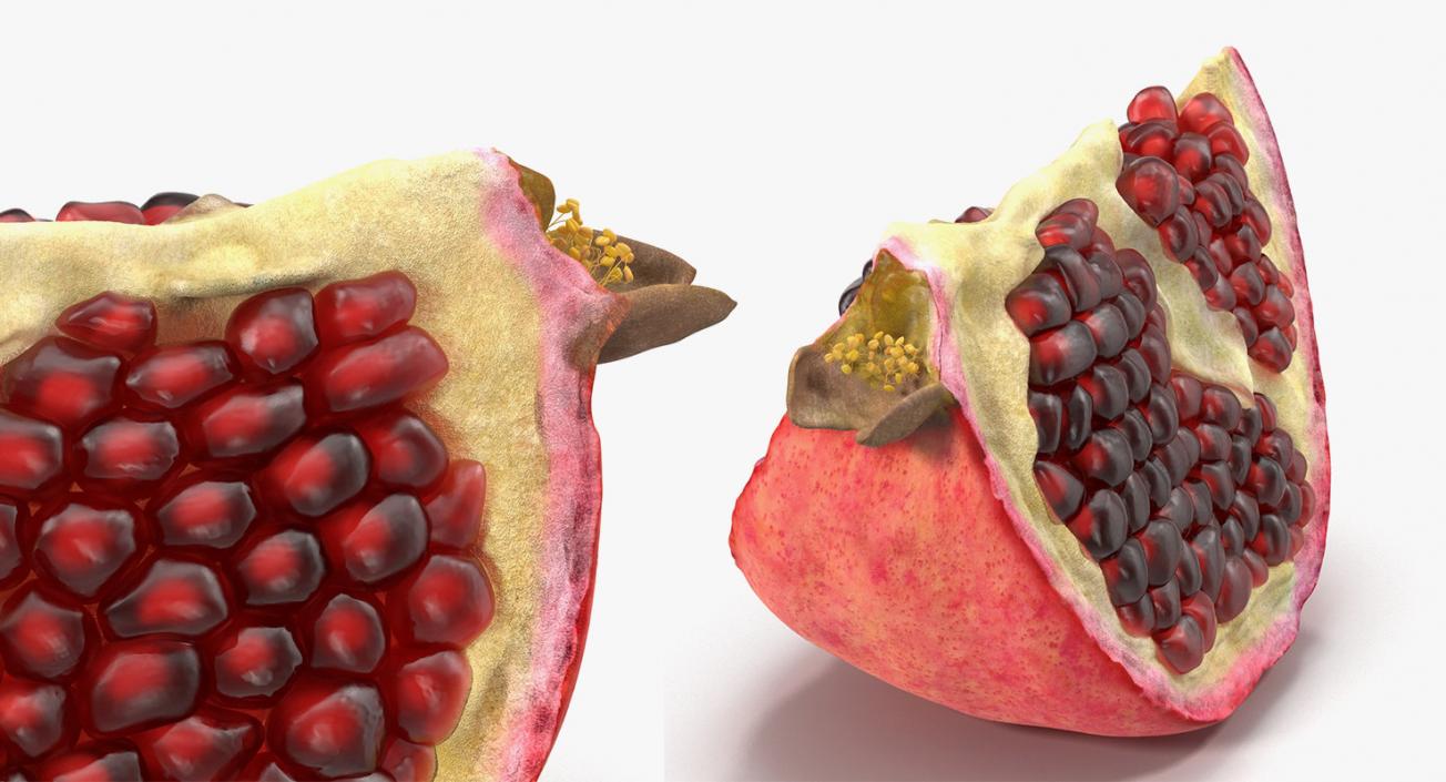 3D Cross Section Fruits 3D Models Collection 5 model