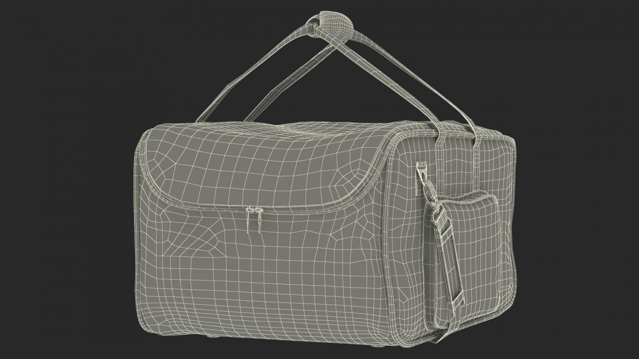 3D Gator Lighting Bag model