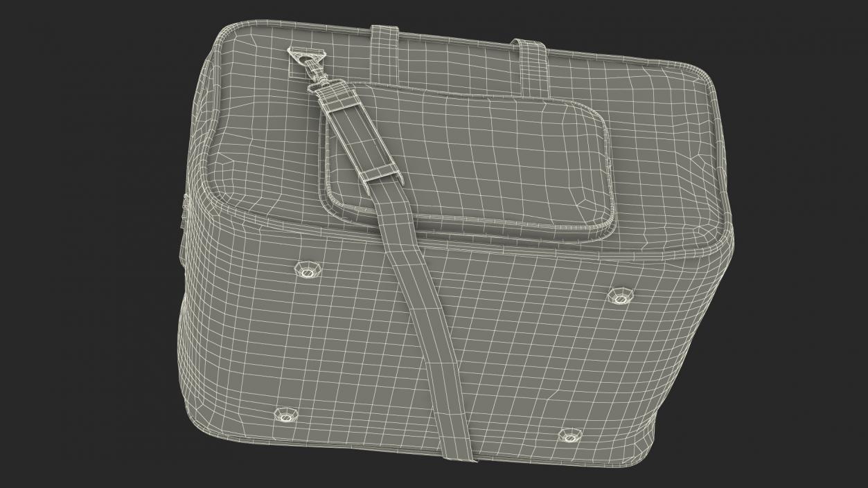 3D Gator Lighting Bag model