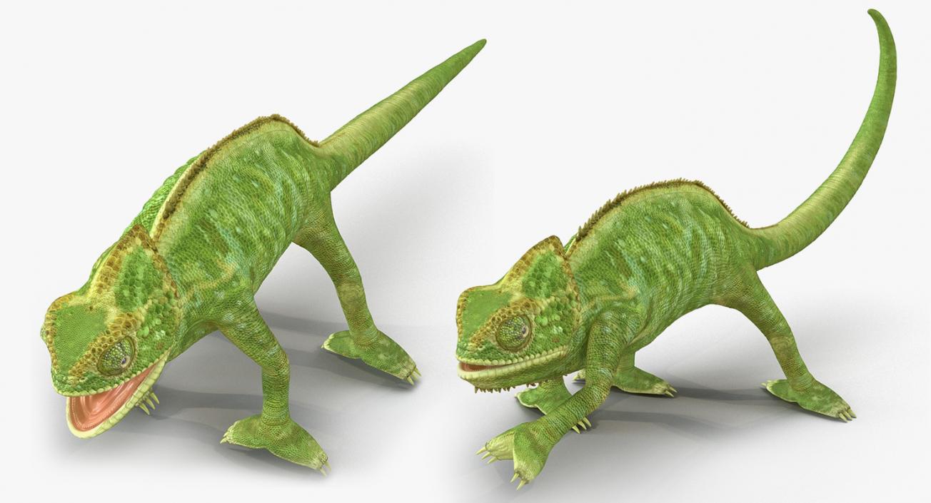 Rigged Lizards Collection 2 3D