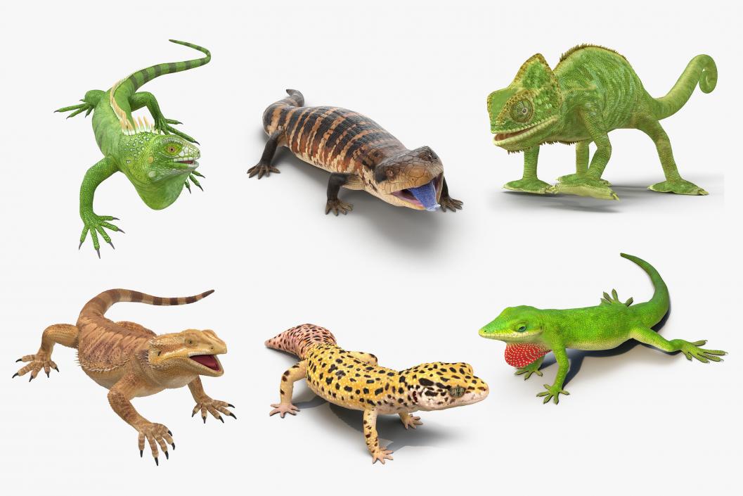 Rigged Lizards Collection 2 3D