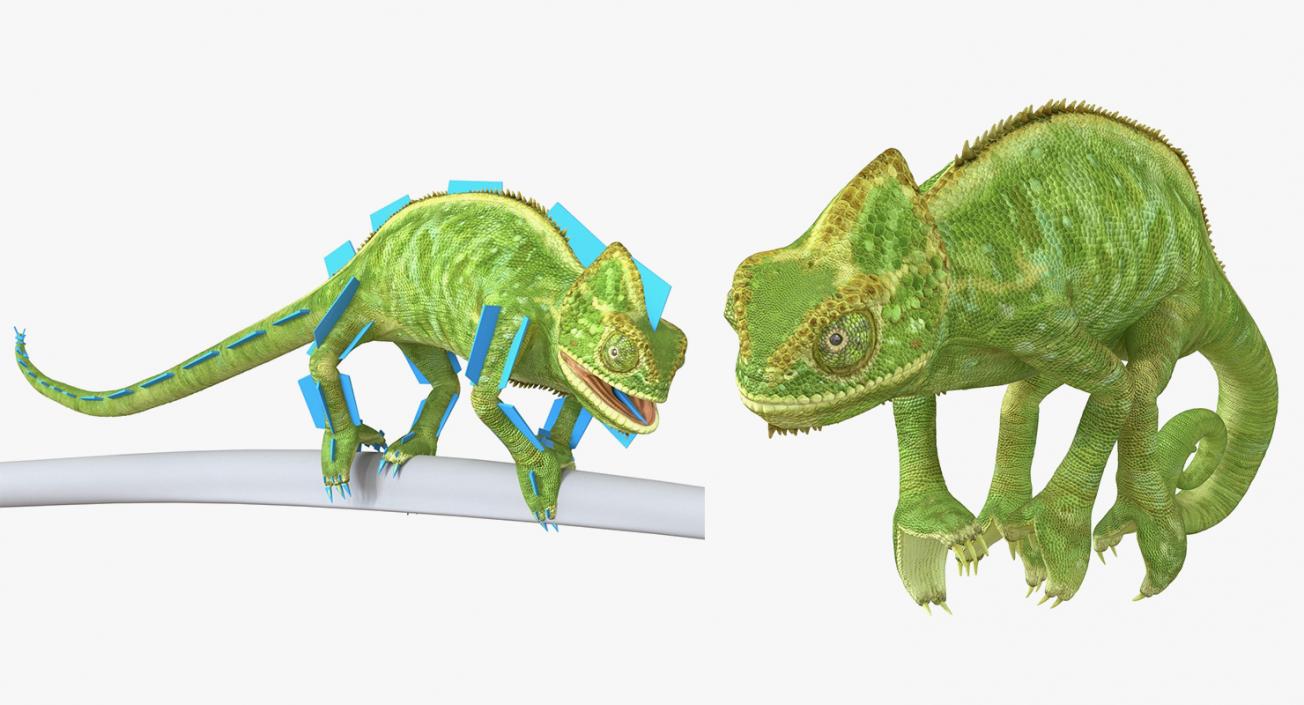 Rigged Lizards Collection 2 3D