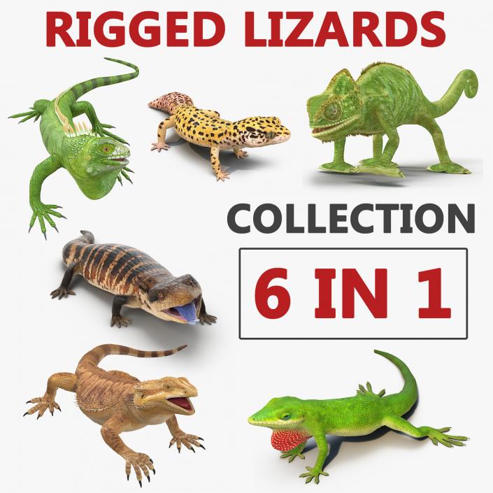 Rigged Lizards Collection 2 3D