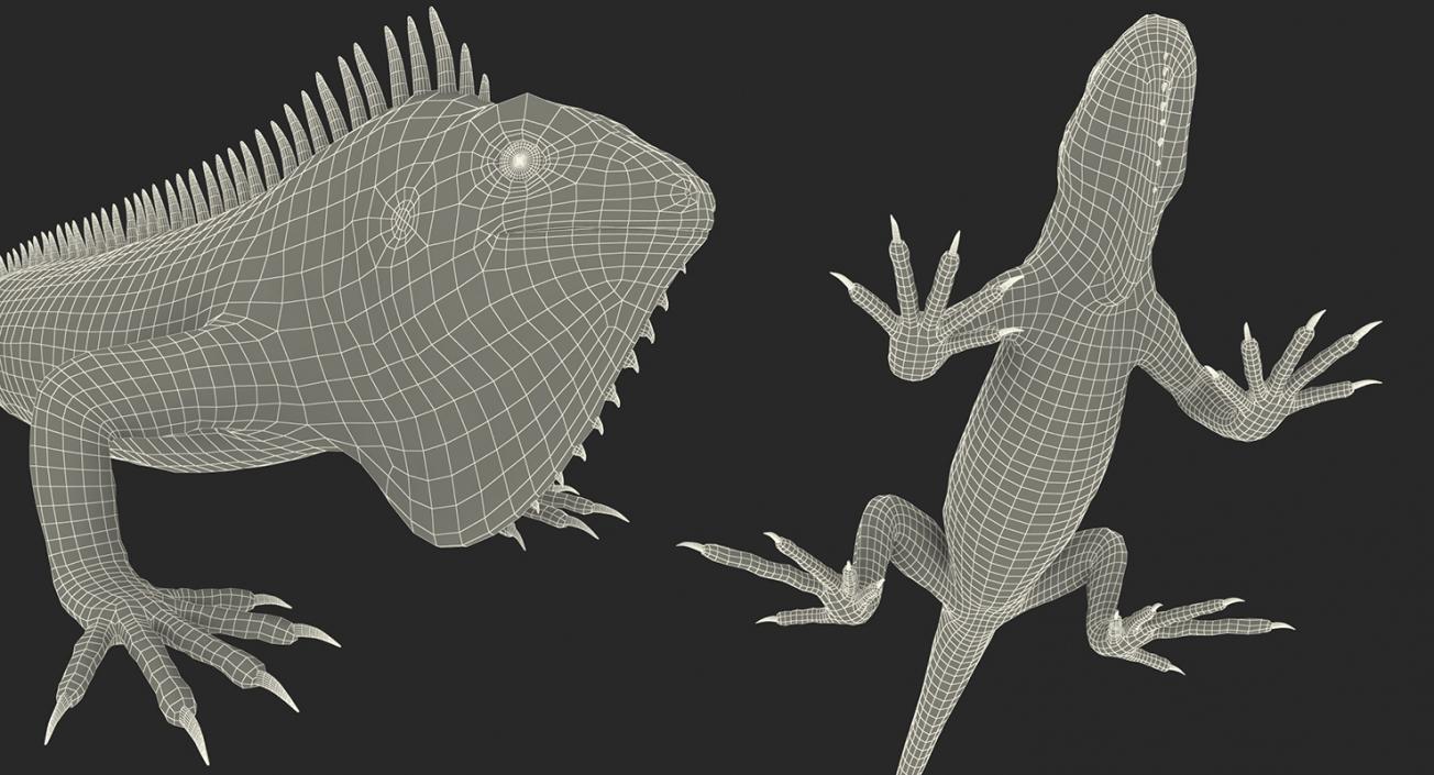 Rigged Lizards Collection 2 3D